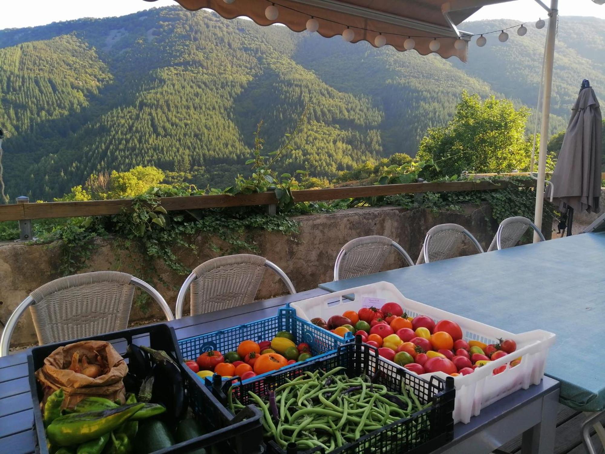 Les Chambres De La Ferme De Chalas Valgorge Esterno foto