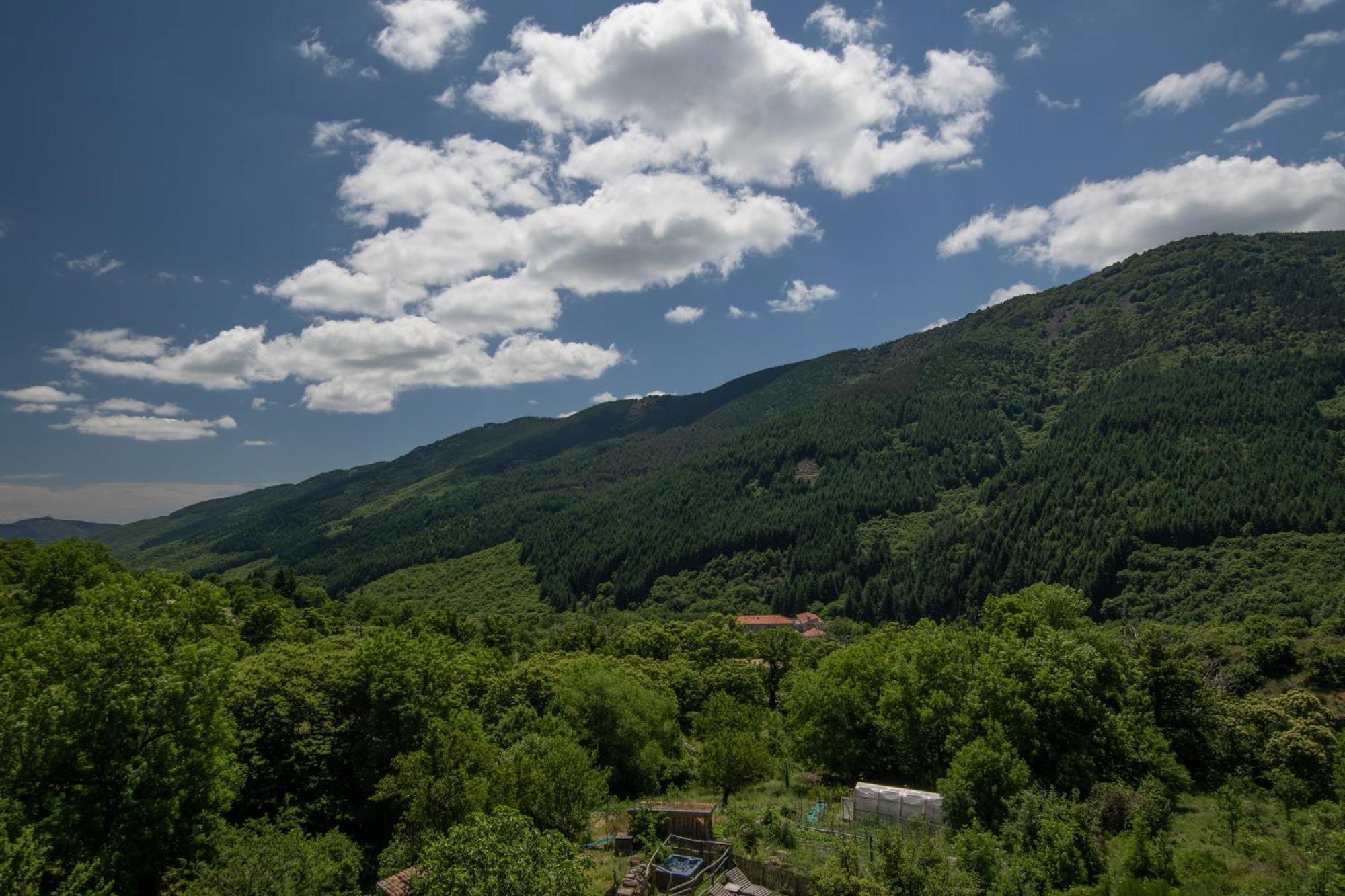 Les Chambres De La Ferme De Chalas Valgorge Esterno foto